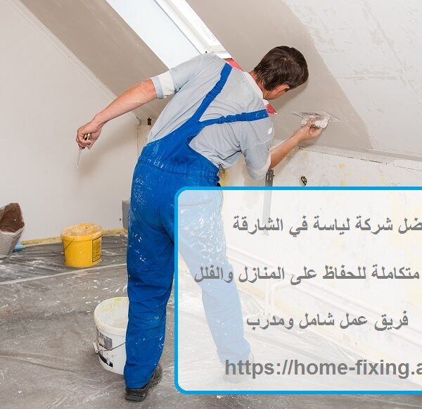 أفضل شركة لياسة في الشارقة